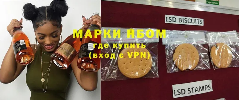 Марки N-bome 1,5мг  где продают наркотики  Прохладный 